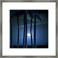 Moonlight Palms Shower Curtain Framed Print
