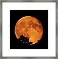 Moonrise Over Pines Framed Print