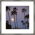 Moonset Palms Framed Print