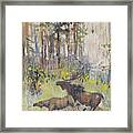 Moose Couple In The Wood Framed Print