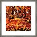 Moraine Hills Sugar Maple Framed Print