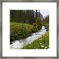 Moraine Stream Wildflower Display Framed Print