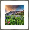 Morning Flowers In Little Cottonwood Canyon, Utah Framed Print