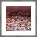 Morning Fog In The Lily Patch In Mauve Framed Print