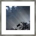 Morning Framed Print