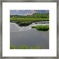 Morning In The Low Country Framed Print