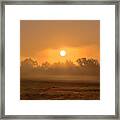 Morning On The Farm Framed Print