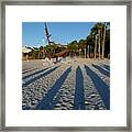 Morning Shadows Framed Print