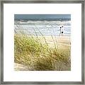 Mid Morning Stroll Framed Print