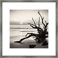 Morning Sun On Driftwood Beach In Black And White Framed Print