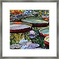Morning Sunlight On Fall Lily Pond Framed Print
