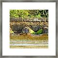 Moss On An Old Chinese Roof Framed Print