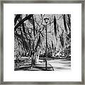 Mossy Southern Park Path Black And White Framed Print