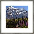 Mount Robson Framed Print