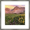 Mount Timpanogos Wildflower Sunset - Utah Framed Print