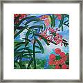 Mountain Ash Framed Print