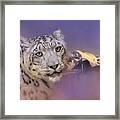 Mountain Guardian Snow Leopard Art Framed Print