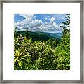 Mountain Laurel And Ridges Framed Print