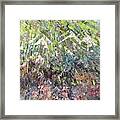 Mountain Of Many Colors Framed Print