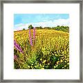 Mountain Of Summer Flowers In The Blue Ridge Ap Framed Print