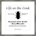 Mountain Pine Beetle Black On White Framed Print