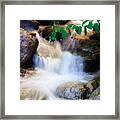 Mountain Stream Wasatch Mts. Utah Framed Print