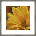 Movement In Yellow Framed Print