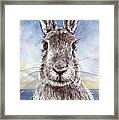 Mr. Rabbit Framed Print