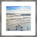 Mrytle Beach Framed Print