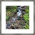 Mt. Spokane Creek 2 Framed Print