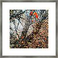 Muddy River, Fall 2015 Framed Print