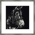 Mule Polly In Black And White Framed Print