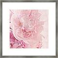 Artsy Pink Peonies Framed Print