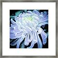 Mum In White Framed Print