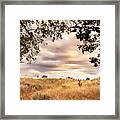 Munson Morning Framed Print