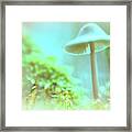 Mushroom Misty Dreams, Mycena Galericulata Framed Print