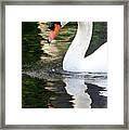 Reflection Of A Mute Framed Print