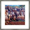 Muted Bryce Framed Print