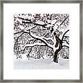 My Favorite Tree In The Snow Framed Print