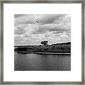 Myakka River Solitude Framed Print