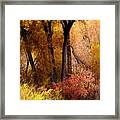 Mystery In Fall Folage Framed Print