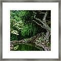 Mystical Forest I Framed Print