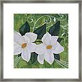 Mystical Magnolias Ii Framed Print