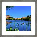 Napa Serenity Framed Print