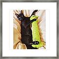 National Black Cat Day! Give One A Framed Print