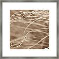 Natural Curls Framed Print