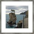 Natural Park Framed Print