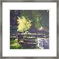 Naturallly....or A Quiet Corner Framed Print