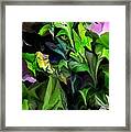 Nature Abstract 101315 Framed Print