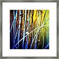 #nature #beautiful #love #pretty Framed Print